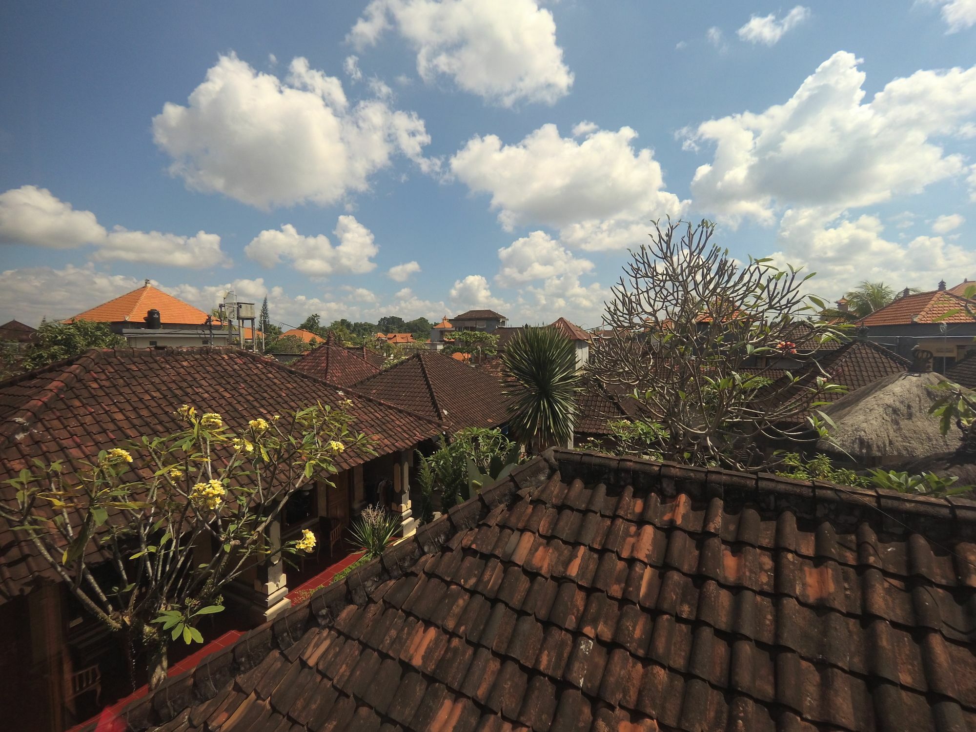 Rumah Ary Homestay & Spa Ubud Exterior foto