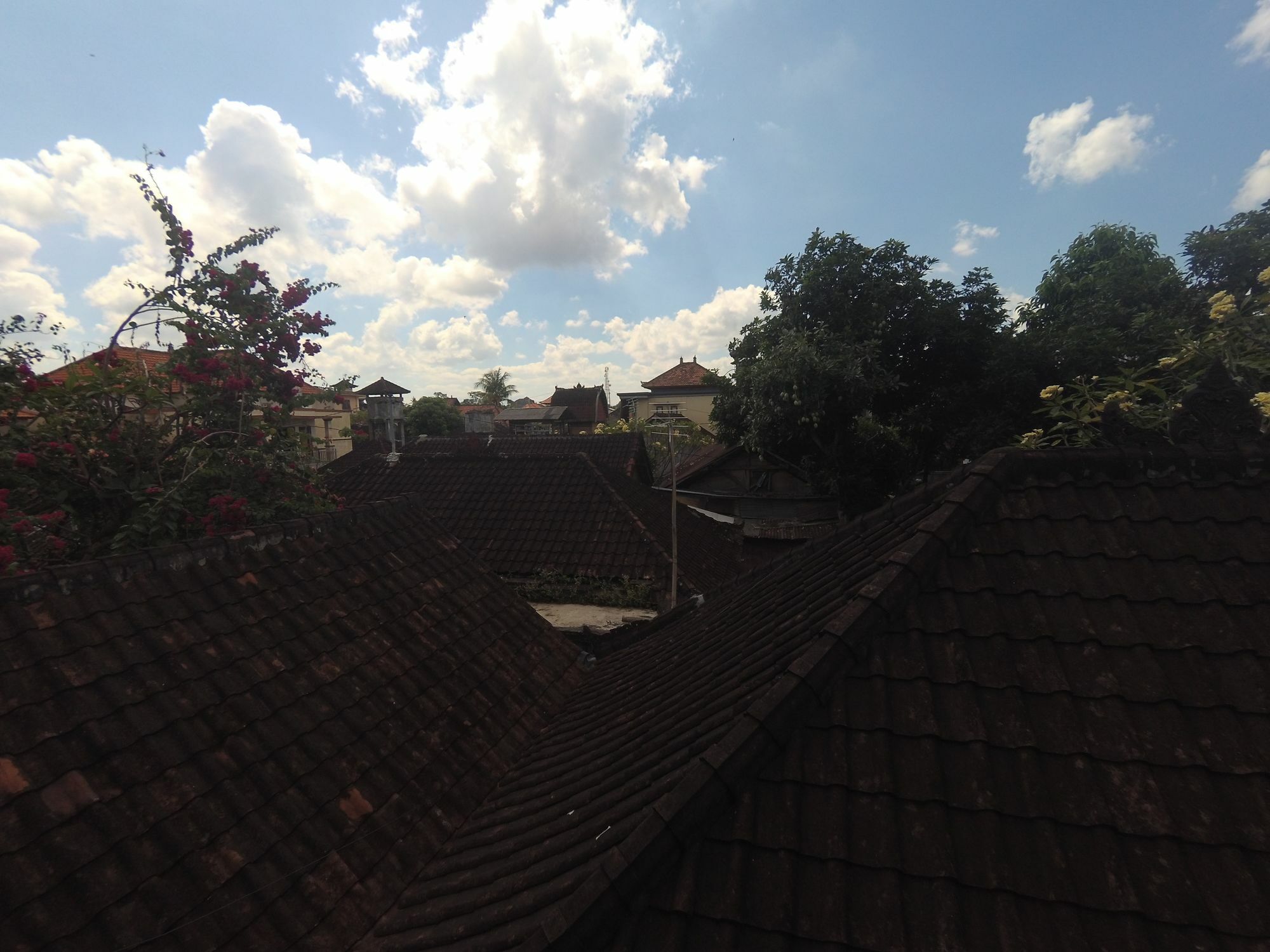Rumah Ary Homestay & Spa Ubud Exterior foto